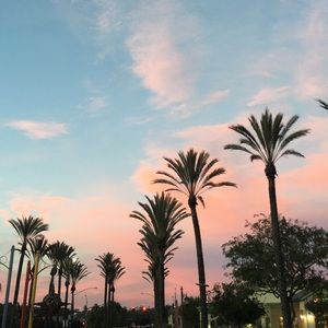 Meet your Posher, Vonny